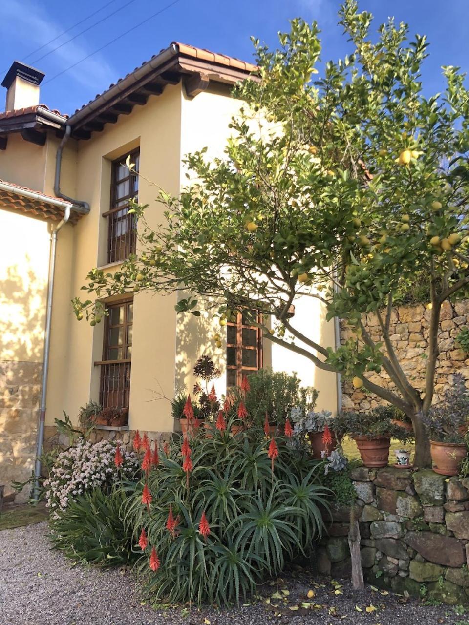 Casa Rural Trebol4Hojas San Pedro  Extérieur photo