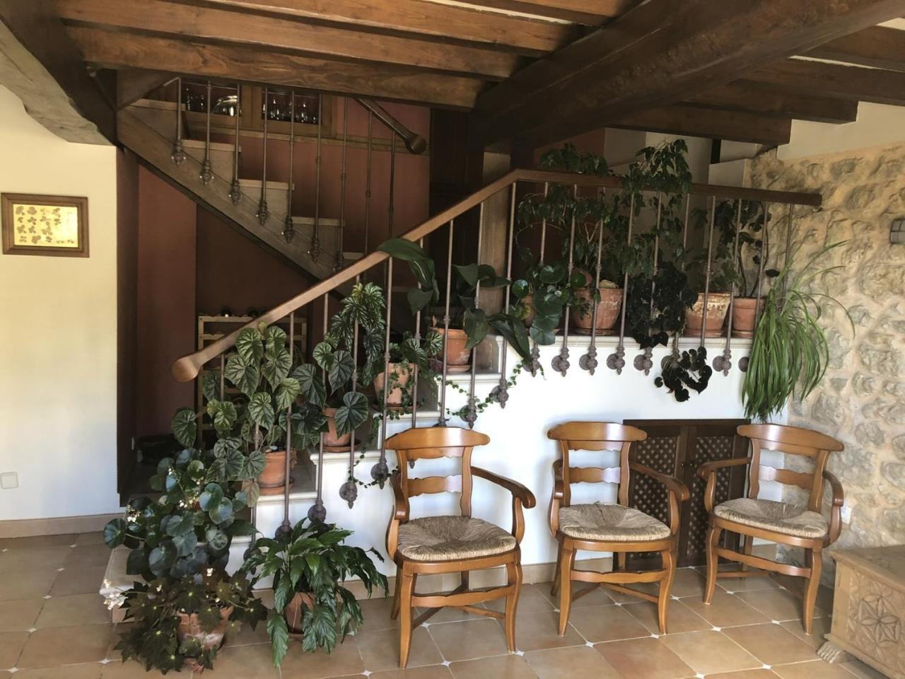 Casa Rural Trebol4Hojas San Pedro  Extérieur photo