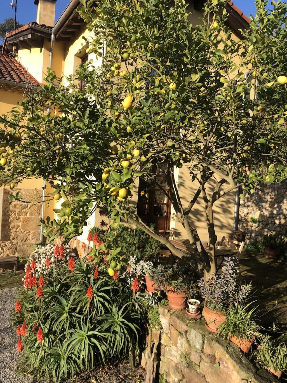 Casa Rural Trebol4Hojas San Pedro  Extérieur photo